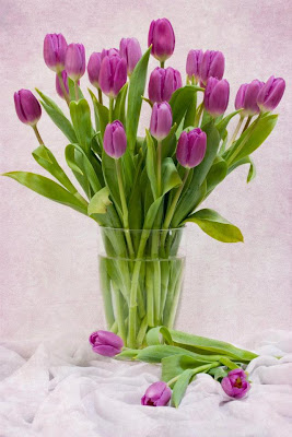 Ramo de tulipanes lilas