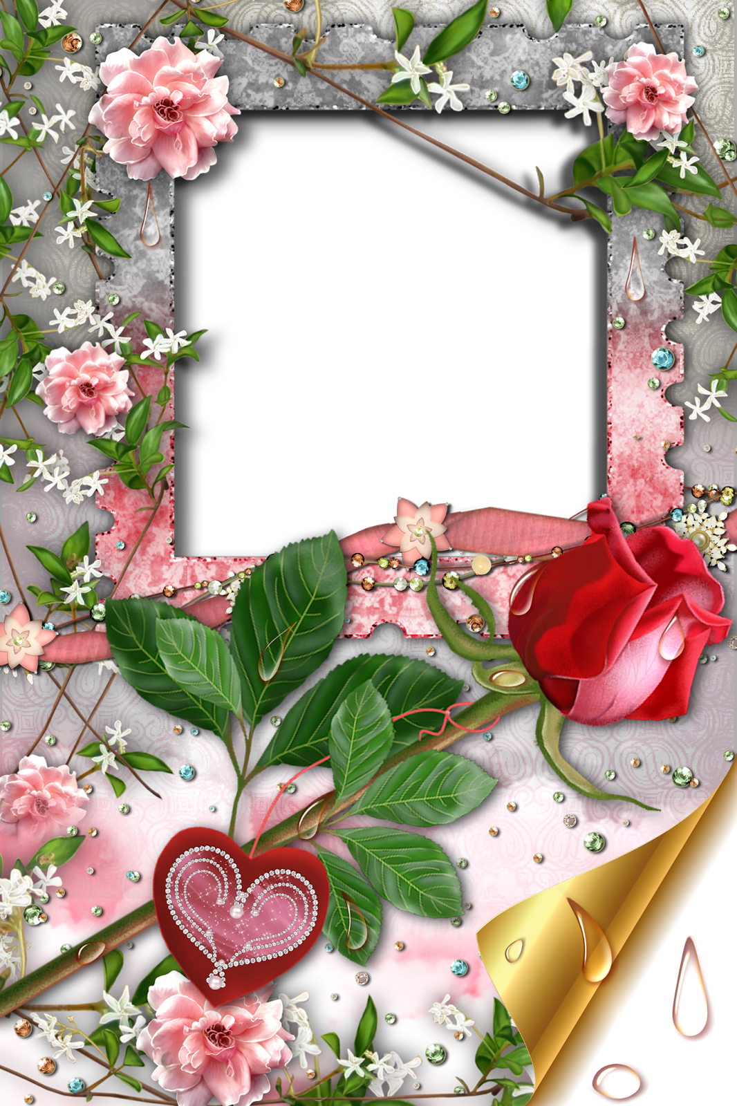 banco de im 193 genes 10 im 225 genes bonitas para el fondo de tu pc laptop o tablet foto de flores para poner dos imagenes banco de im 193 genes 15 marcos de para poner tus fotos banco de im 193 genes 10 im 225 genes bonitas para el fondo de tu pc laptop o tablet foto de flores para poner dos imagenes banco de im 193 genes 15 marcos de para poner tus fotos