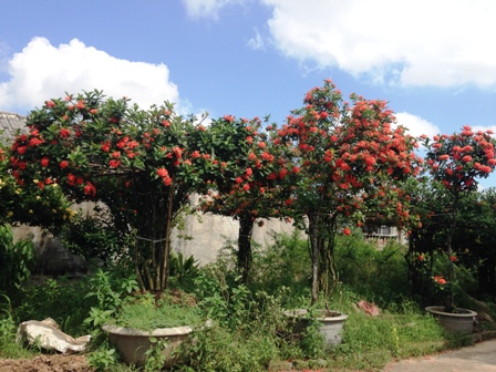 [Image: ngoi-nha-mau-don-lang-man-hon-phim-han-g...-nam-5.jpg]