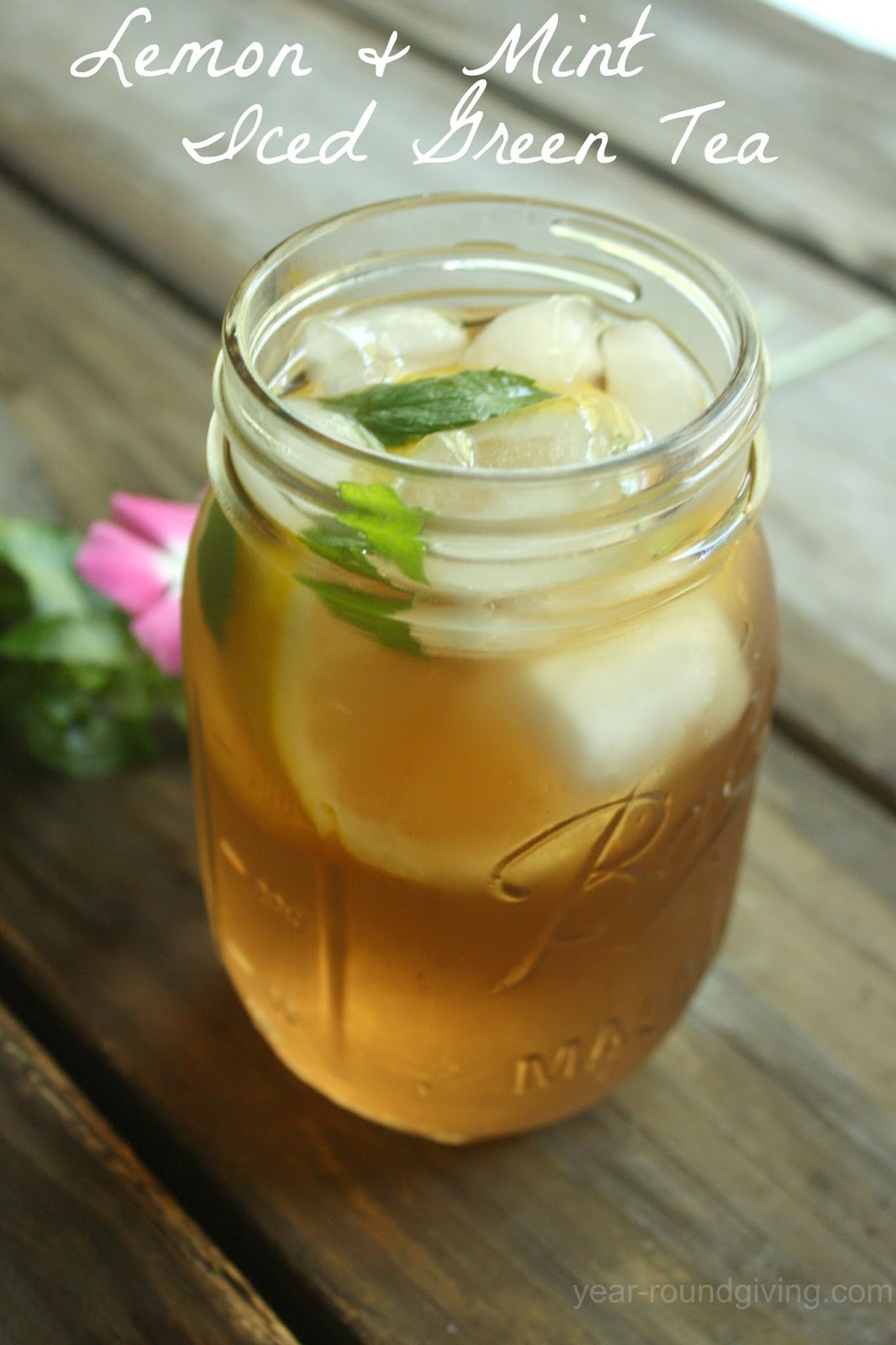 Lemon & Mint Iced Green Tea Daily Appetite
