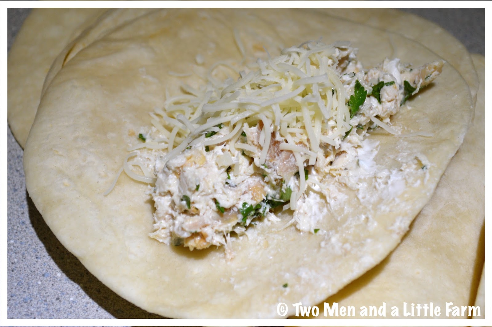 Two Men and a Little Farm GREEN CHILI CHICKEN ENCHILADAS RECIPE