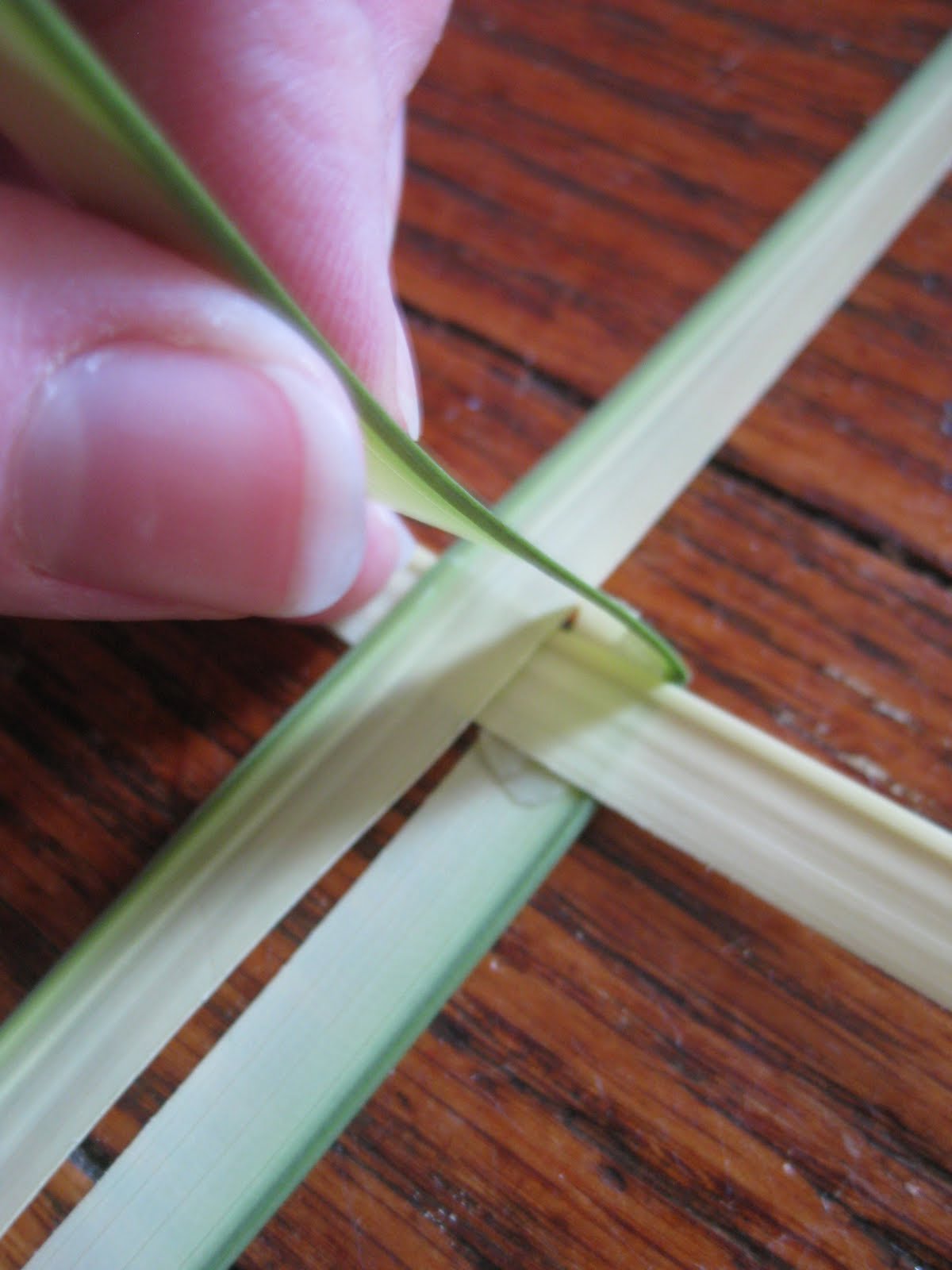 wee little miracles How to Make a Palm St. Brigid's Cross