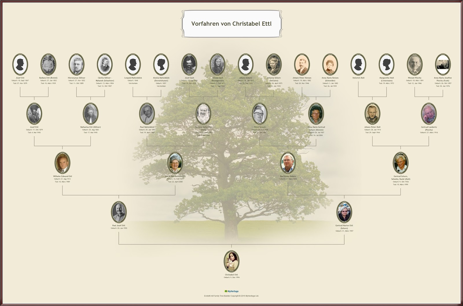 online family tree builder under fontanacountryinn com online family tree builder