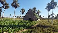 TOBACCO BARN VINALES VALLEY