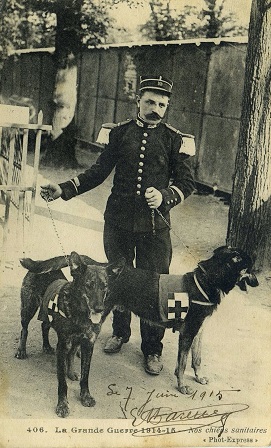 PERROS SANITARIOS (1914-1915)