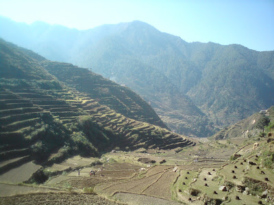 Magnificient fields enroute to Birahi in the Himalayas