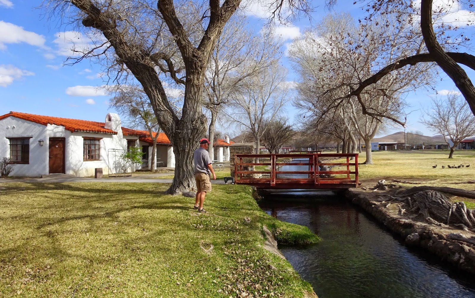 Metamorphosis Road Campground Review Balmorhea State Park, Toyahvale, TX