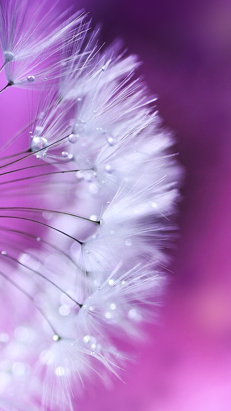 free iphone wallpaper be linspired free iphone 6 wallpaper backgrounds free iphone wallpaper be linspired free iphone 6 wallpaper backgrounds