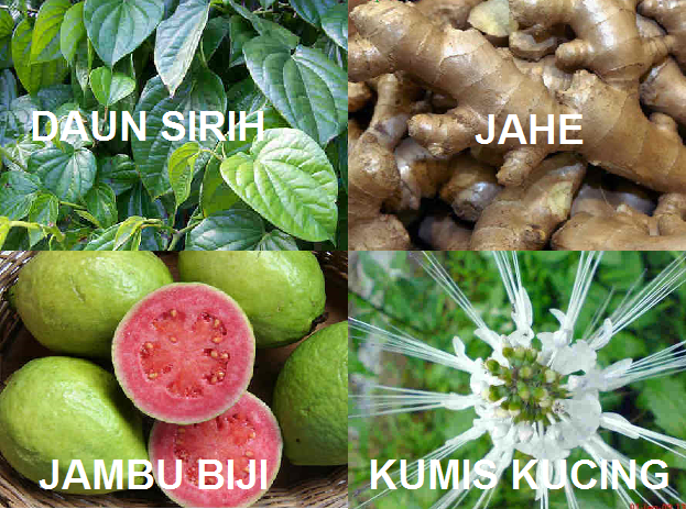 Kaskus Informasi Sagalaya Dahsyatnya Manfaat Apotik Hidup