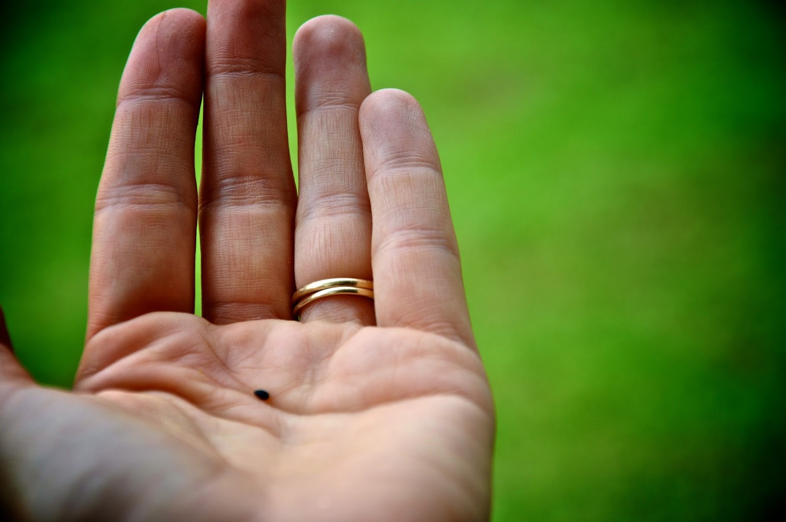 Of Mustard Seeds and Blood Clots Next Level Church Blog