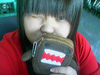 ♥ cc WITH domo ♥