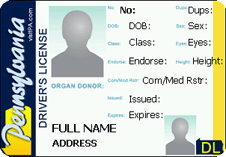 fake pa drivers license template fake pa drivers license template