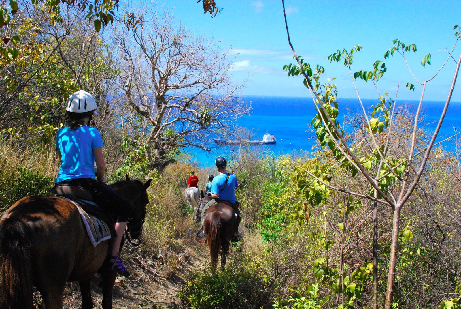 Wanderlust Traveler St. Maarten/St. Martin (Sightseeing)