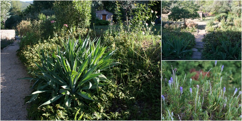 Havefolket: sommer i provence