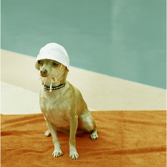 Lucy Snowe