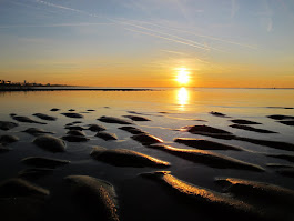 Laag water in Katwijk