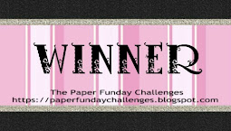 I won at The Paper Funday Challenge!