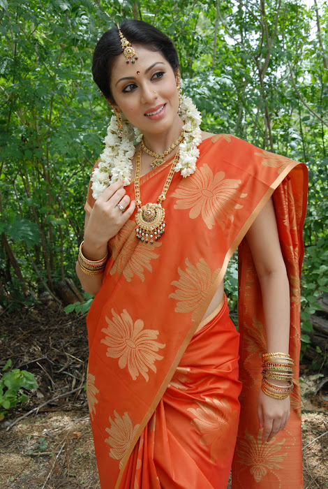 sada gorgeous in beautiful orange saree unseen pics