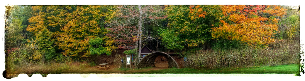 Jo's Grove Playscape