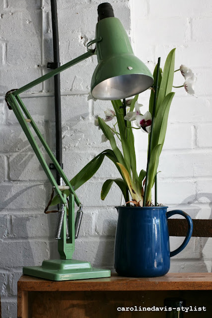 caroline davis stylist, trend daily blog, styling details, plants, behind the scenes