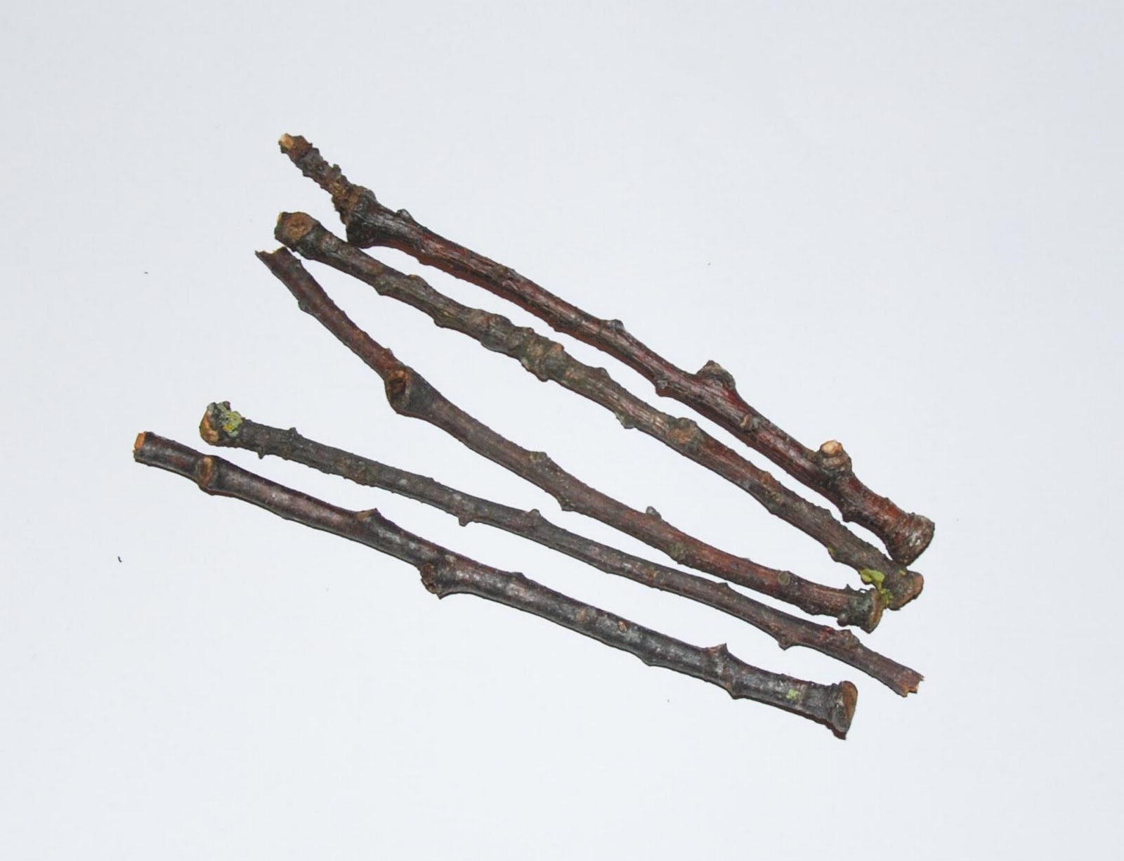 awt wild schools blog make your own christmas stars wrapping paper christmas decorations