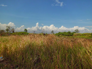 pemandangan-alam-sekitar-tempat-memancing Edisi Mancing Mania Satu