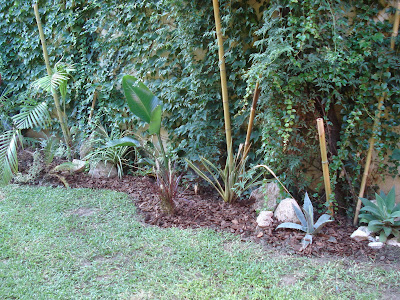 Reverdir **JARDINERIA Y PAISAJISMO**: JARDIN calle DICMAN 1