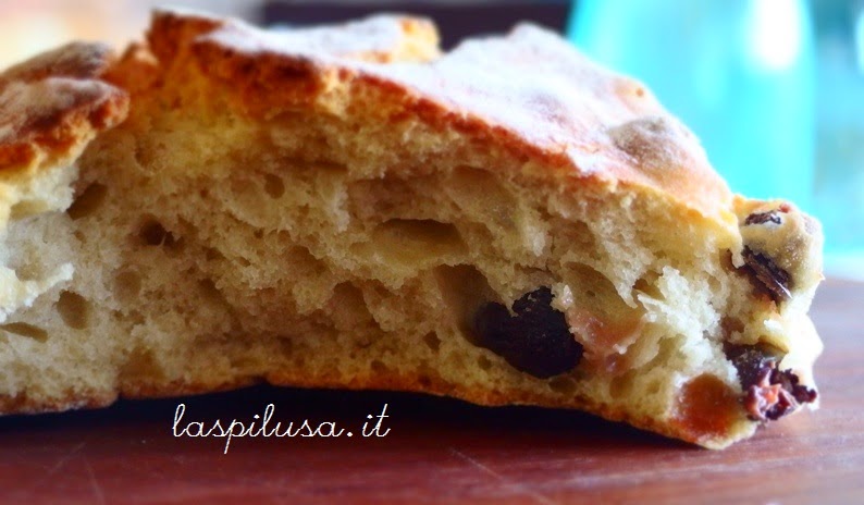 Pane tipico del Salento: puccia con le olive