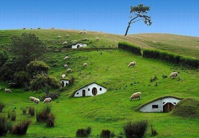 houses in new zealand