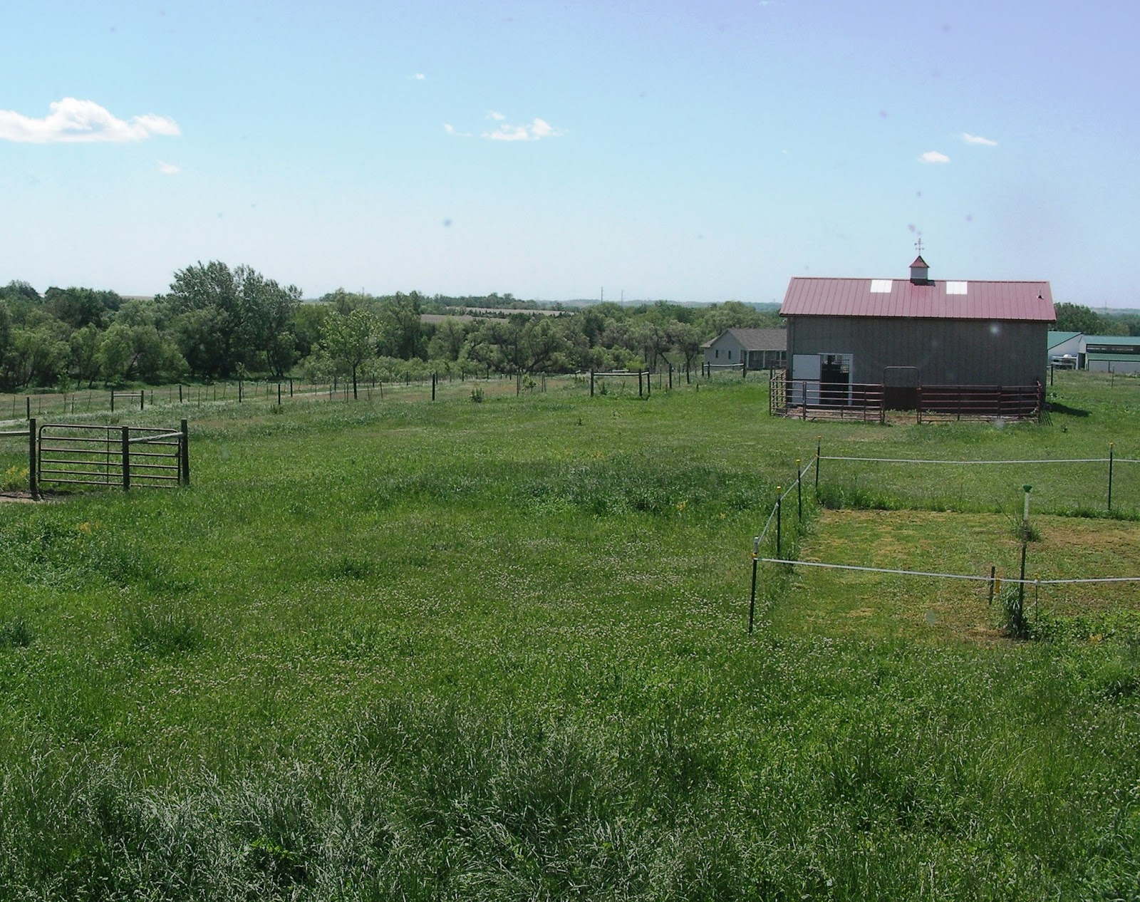 Nebraska Horse Farm For Sale VIEW OF THE BARN FROM THE BACK YARD