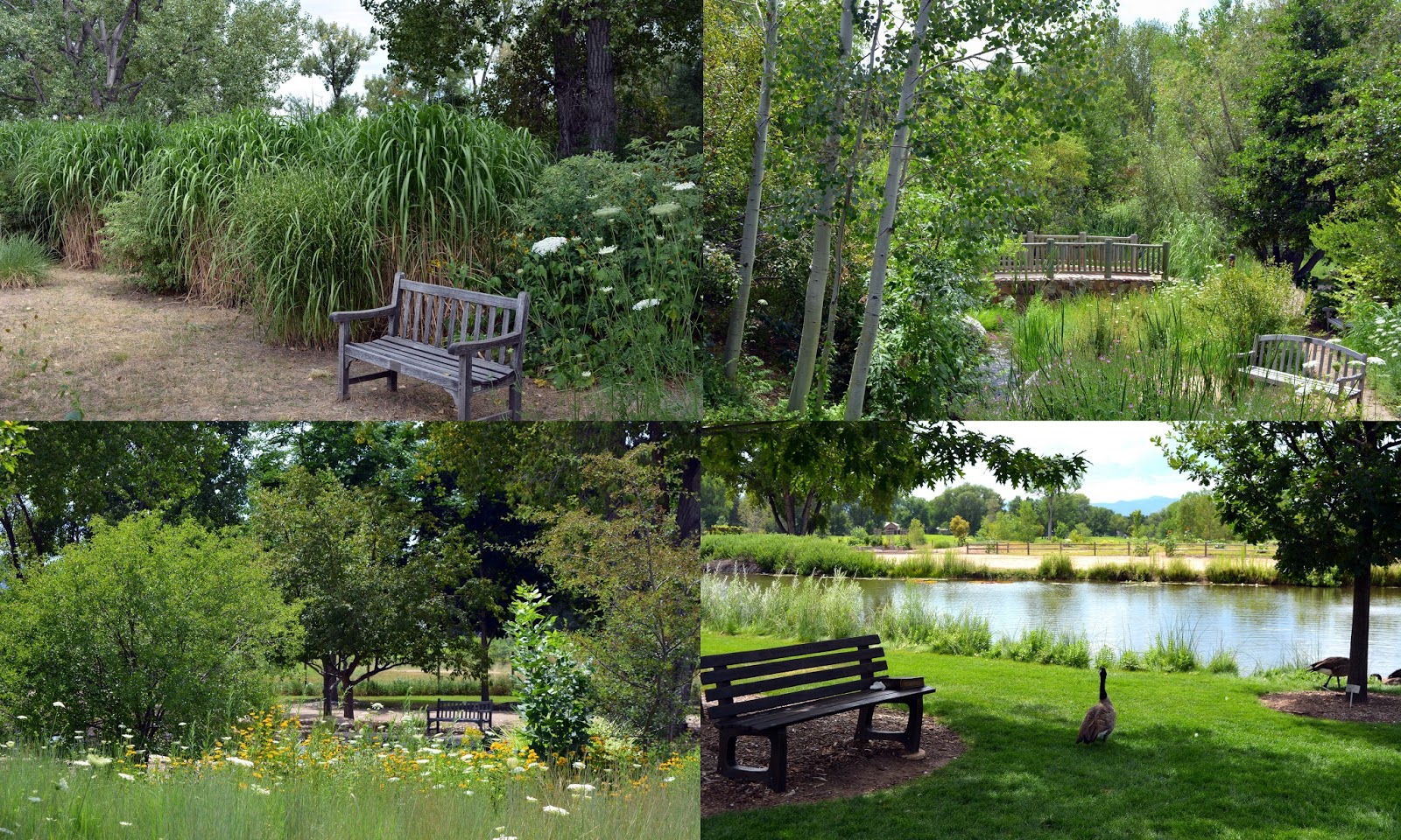 Mille Fiori Favoriti Hudson Gardens and Event Center in Littleton, CO