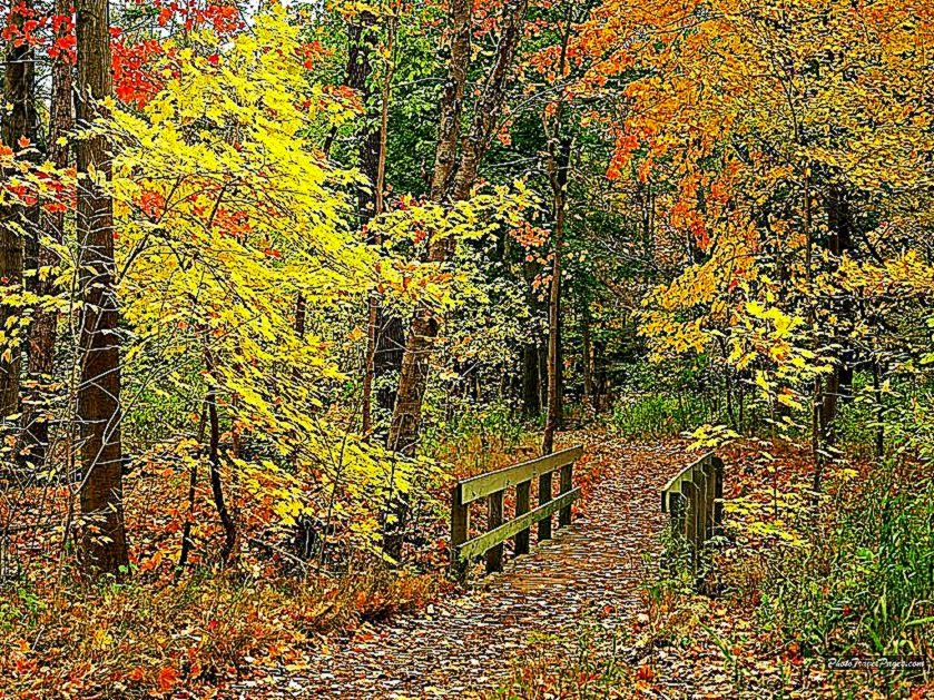 Beautiful Fall Wallpapers Autumn Wallpaper 15496213 Fanpop Beautiful Fall Wallpapers Autumn Wallpaper 15496213 Fanpop