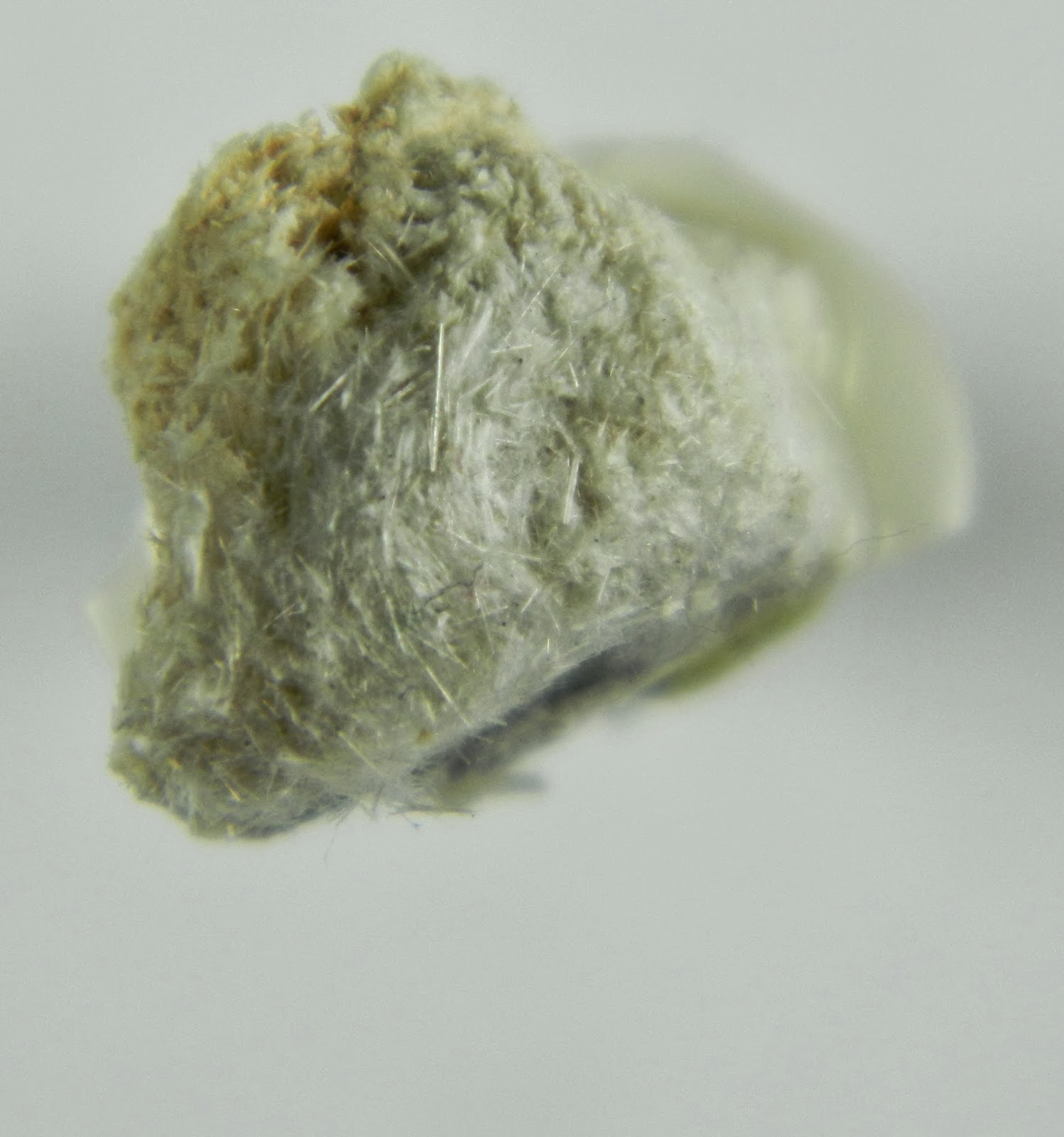 CSMS GEOLOGY POST ZEOLITE MORDENITE