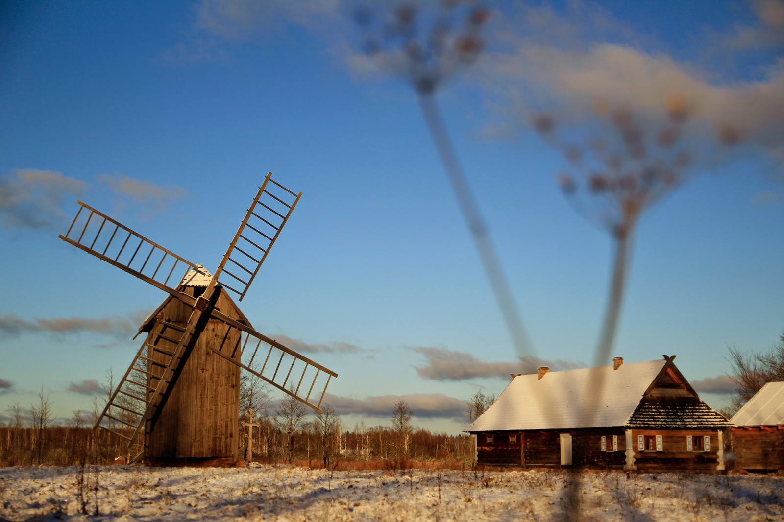 Gwiazdka w Puszczy - Ania w Podróży