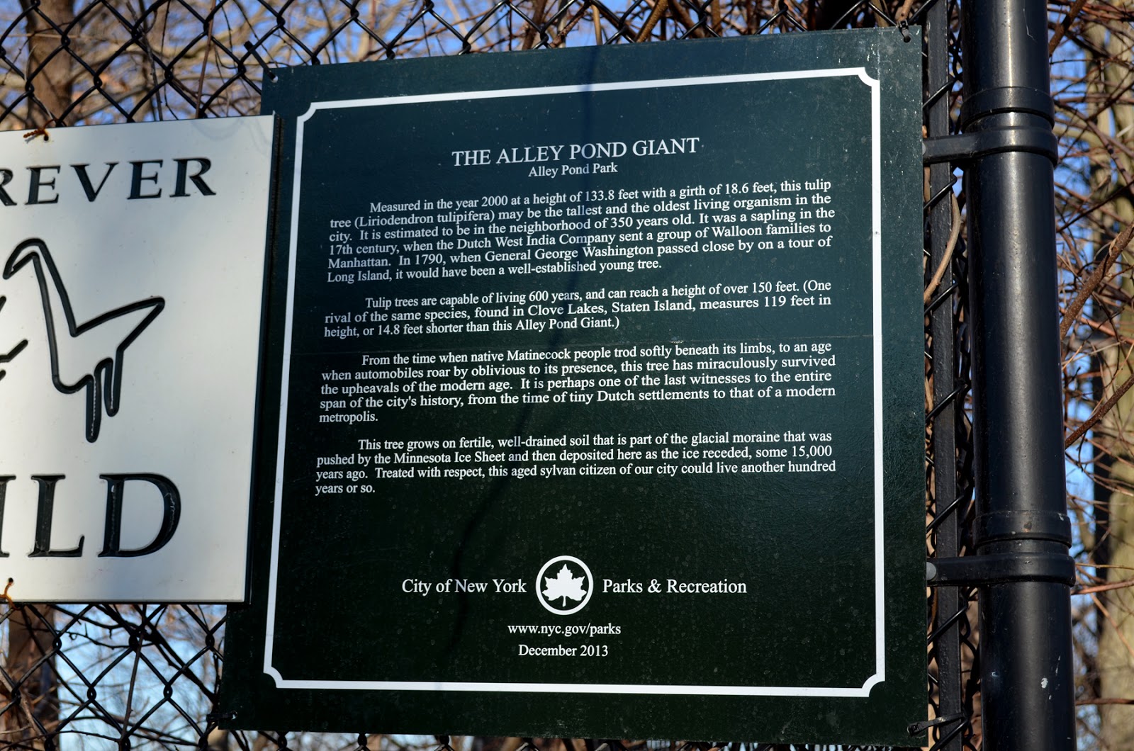 This Hidden City Queens Giant