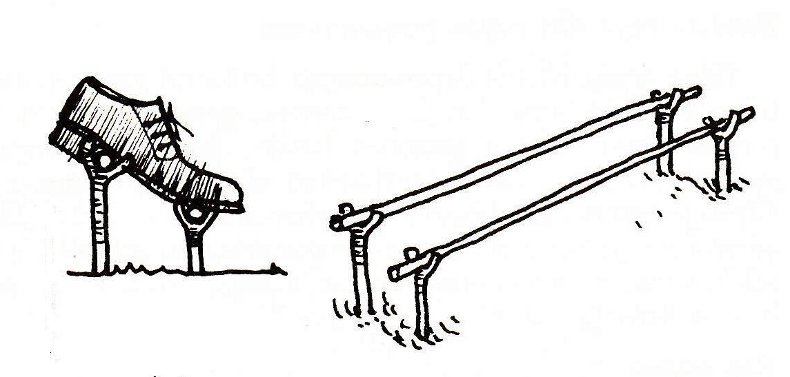 Berkemah Penataan Lingkungan &amp; Perlengkapan
