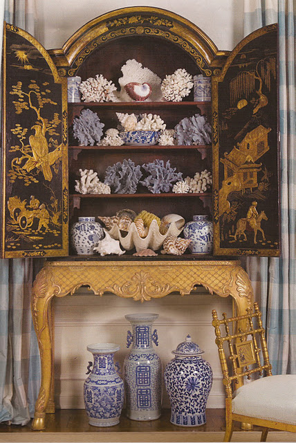 sea shell collection
