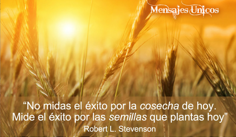 See the source image