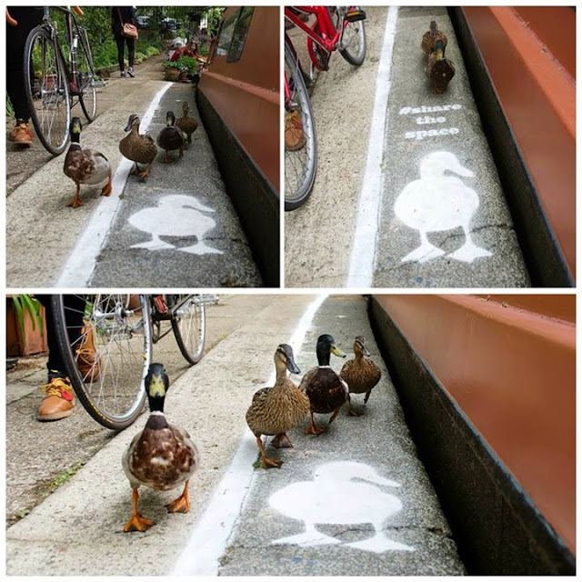 duck space, duck walk only in manchester