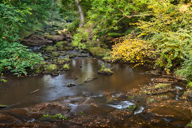 The Eller Beck River near Beck Hole in North Yorkshire by Martyn Ferry Photography
