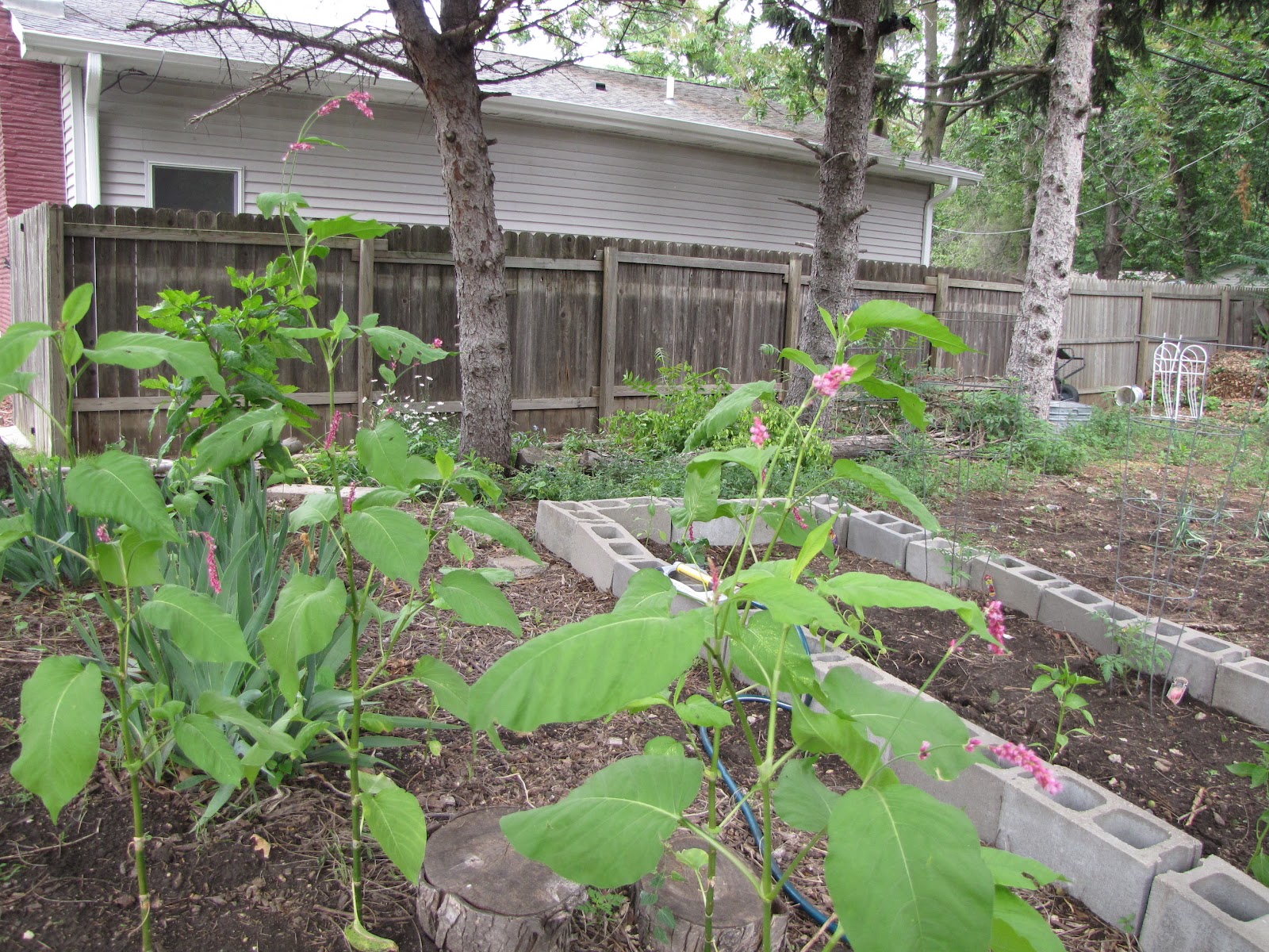 A Corner Garden: For those behind in weeding, this could make you feel