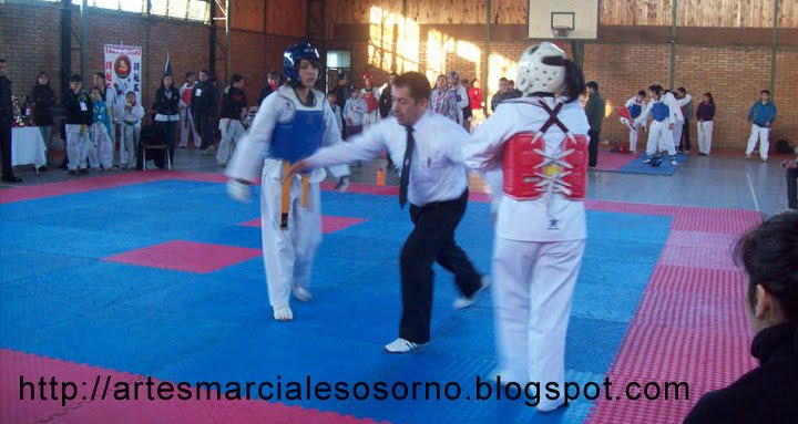 Copa Garcia Hurtado de Mendoza 2011 ARTES MARCIALES OSORNO