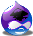 Drupal Solutions for You