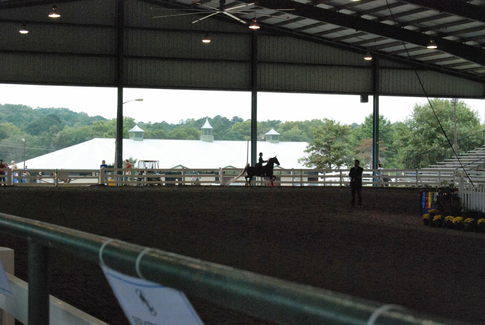 Riding Aside International Horse Park Southeastern Charity