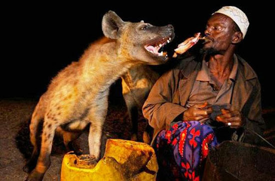 When Humans and Animals Get Along