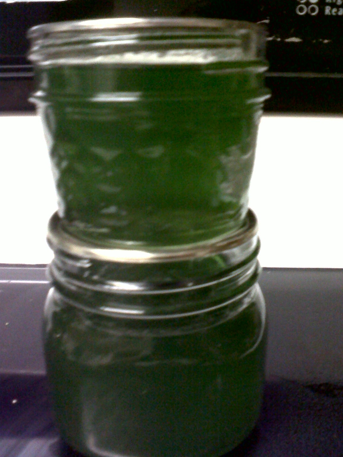 Preppy Pink Crocodile Canning Recipe Basil Jelly