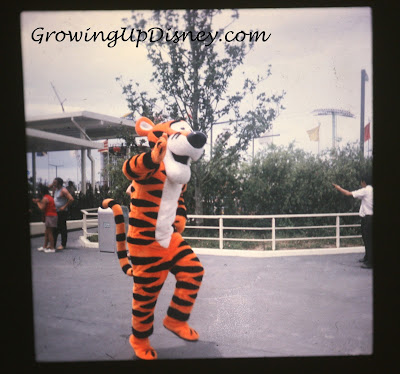 Growing Up Disney  growingupdisney.com