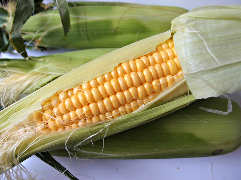 Milk and Honey Spiced Warm Corn Salad