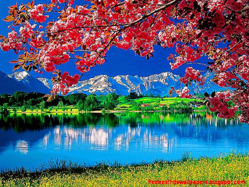 image of nature wallpaper Top HQ images image of nature wallpaper Top HQ images