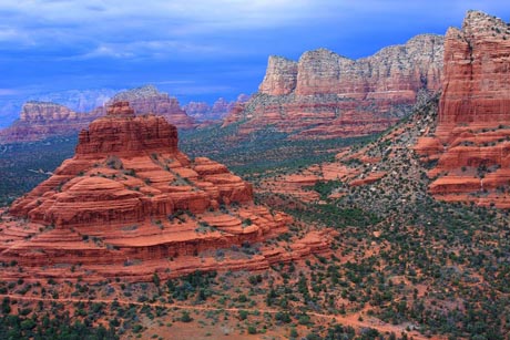 Murder is Everywhere: A Lesson From The Desert